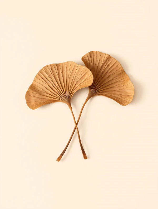 Golden Ginkgo Leaves