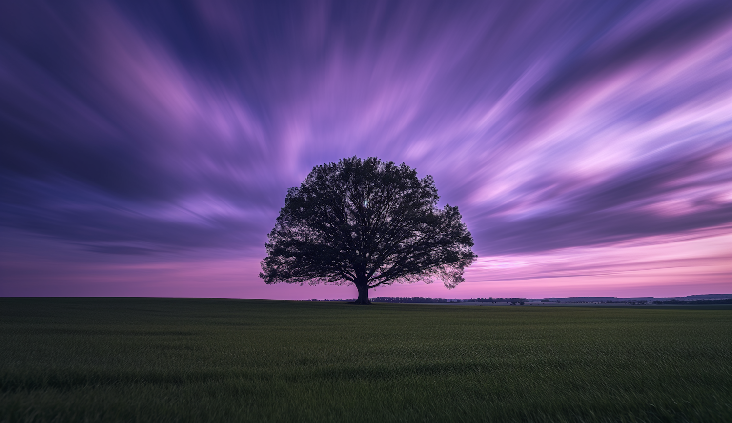 Solitary Vigil Under the Time-Lapsed Skies