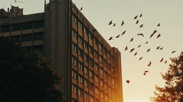 Sunlit Urban Facade