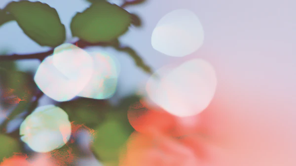 Dreamy Bokeh Leaves
