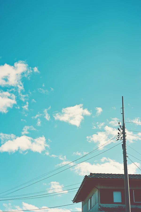 Serene Outdoor Scene