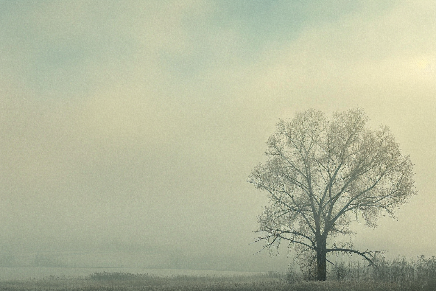 Serene Foggy Landscape with Solitary Tree