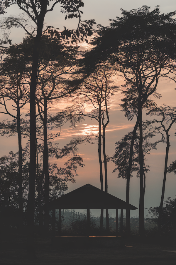 Twilight Serenity in a Wooded Landscape