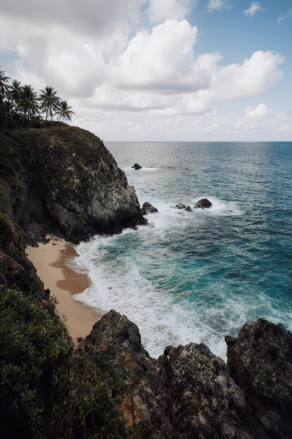Scenic Coastal View