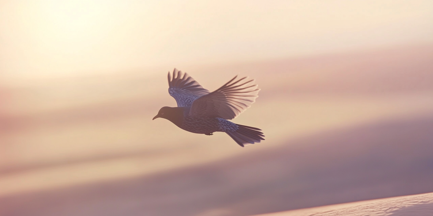 Bird in Flight at Sunrise