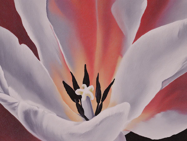 Flower Art Close-Up