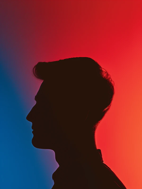 Vibrant Silhouette Profile