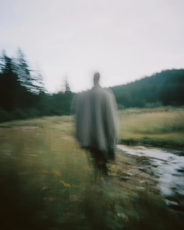 Dreamlike Forest Walk