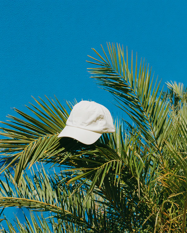Tropical Cap Display
