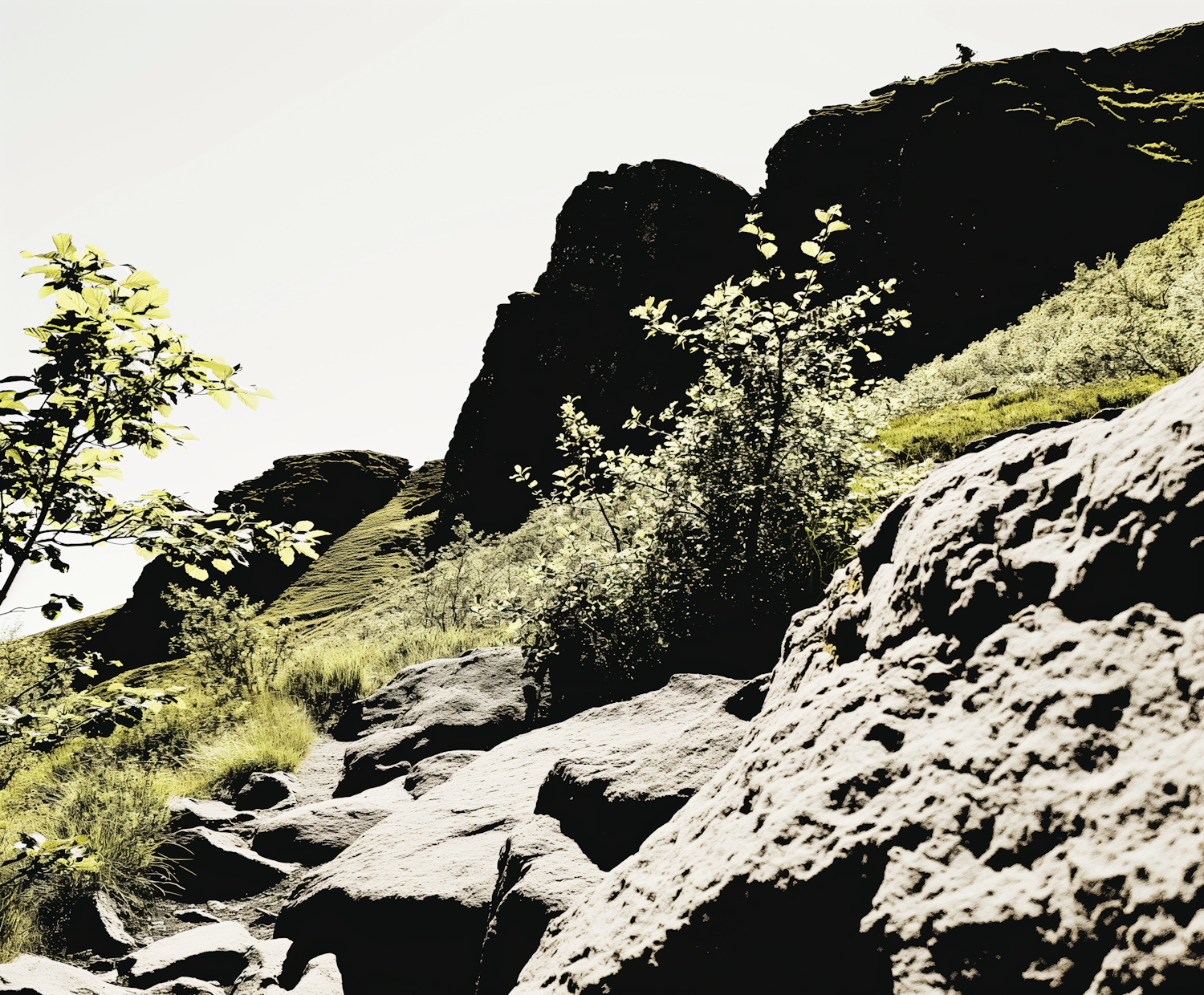 Rugged Terrain and Lush Foliage with Lone Figure