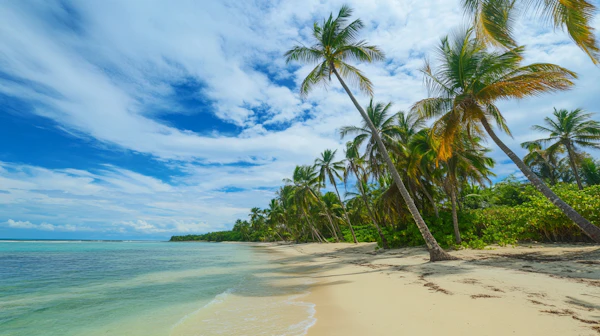 Tropical Beach Paradise