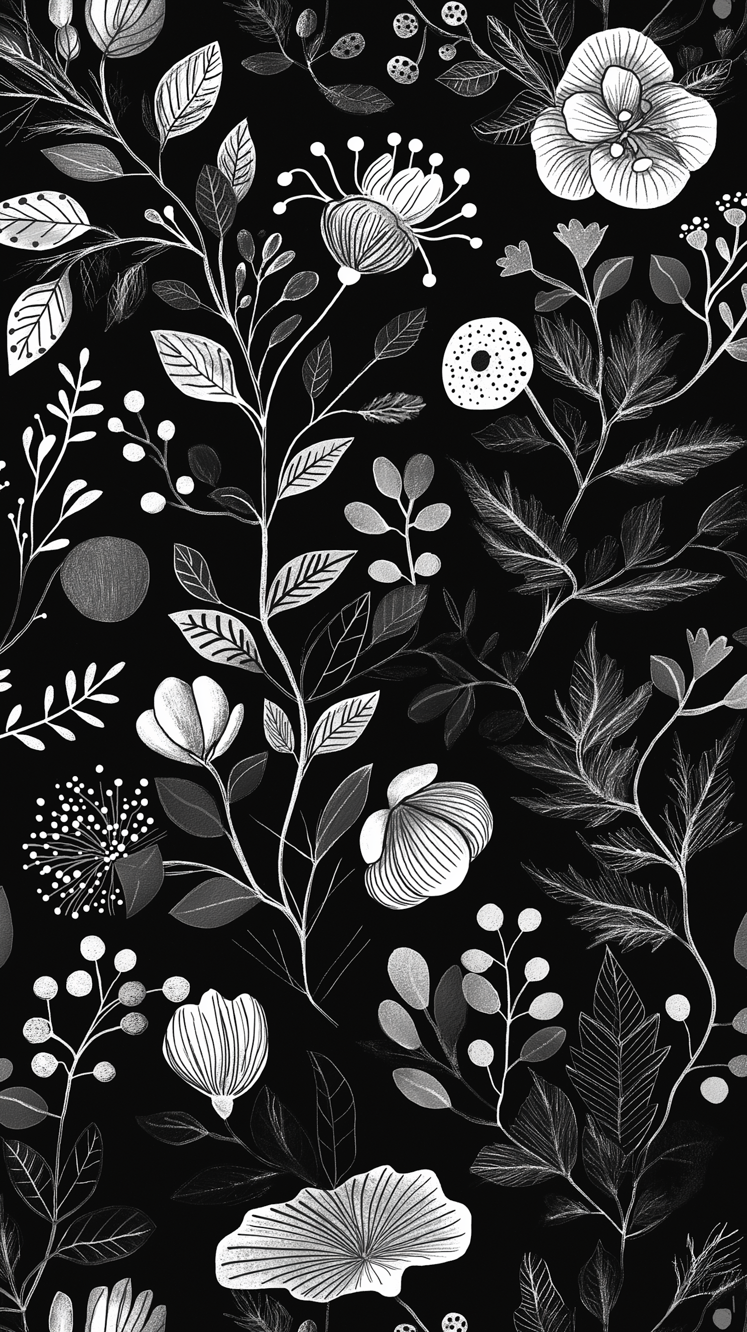 Black and White Botanical Illustration