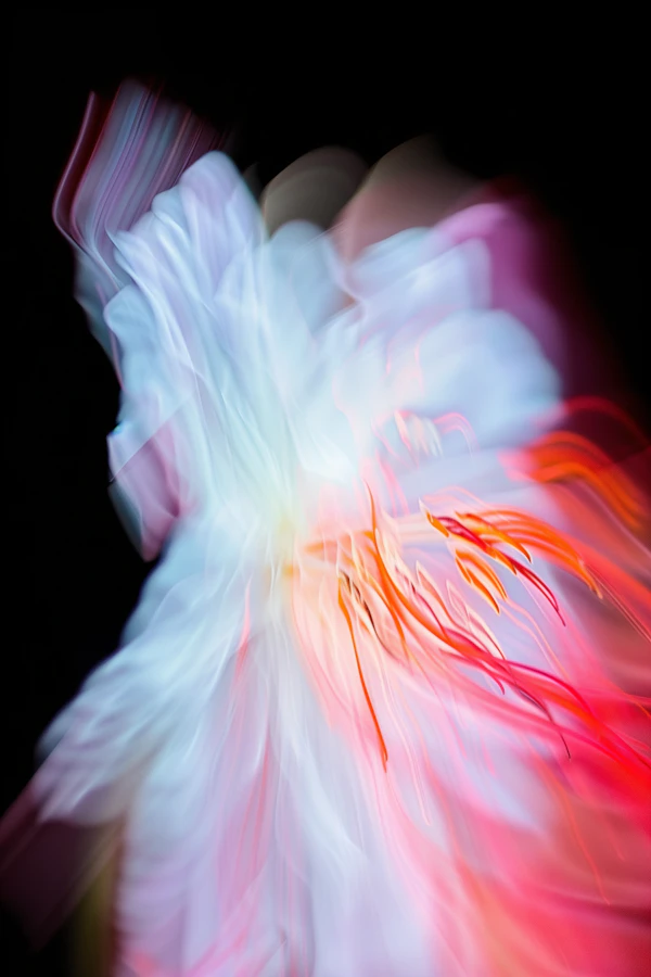 Abstract Flower Motion