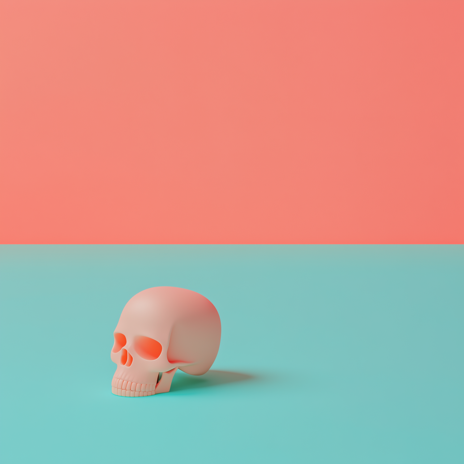 Playful Pink Skull on Dual Background