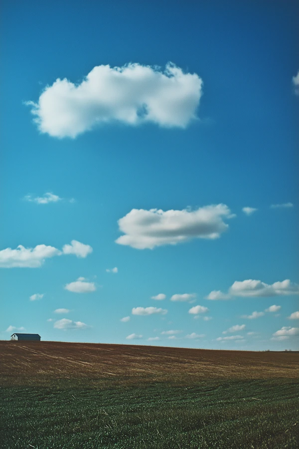 Serene Rural Landscape