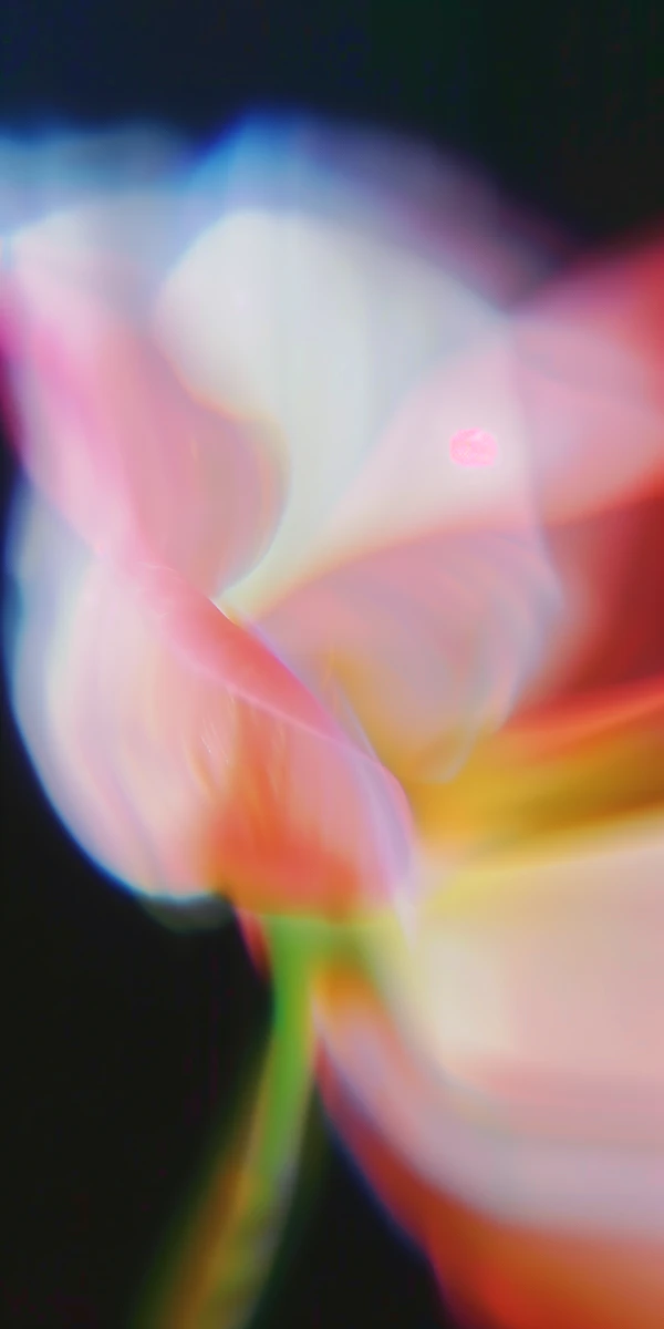 Dreamy Flower Abstract