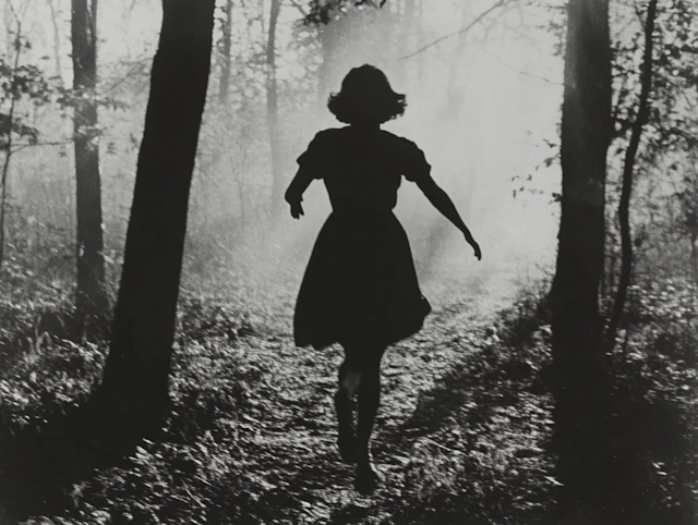 Silhouette of Woman Running Through Forest