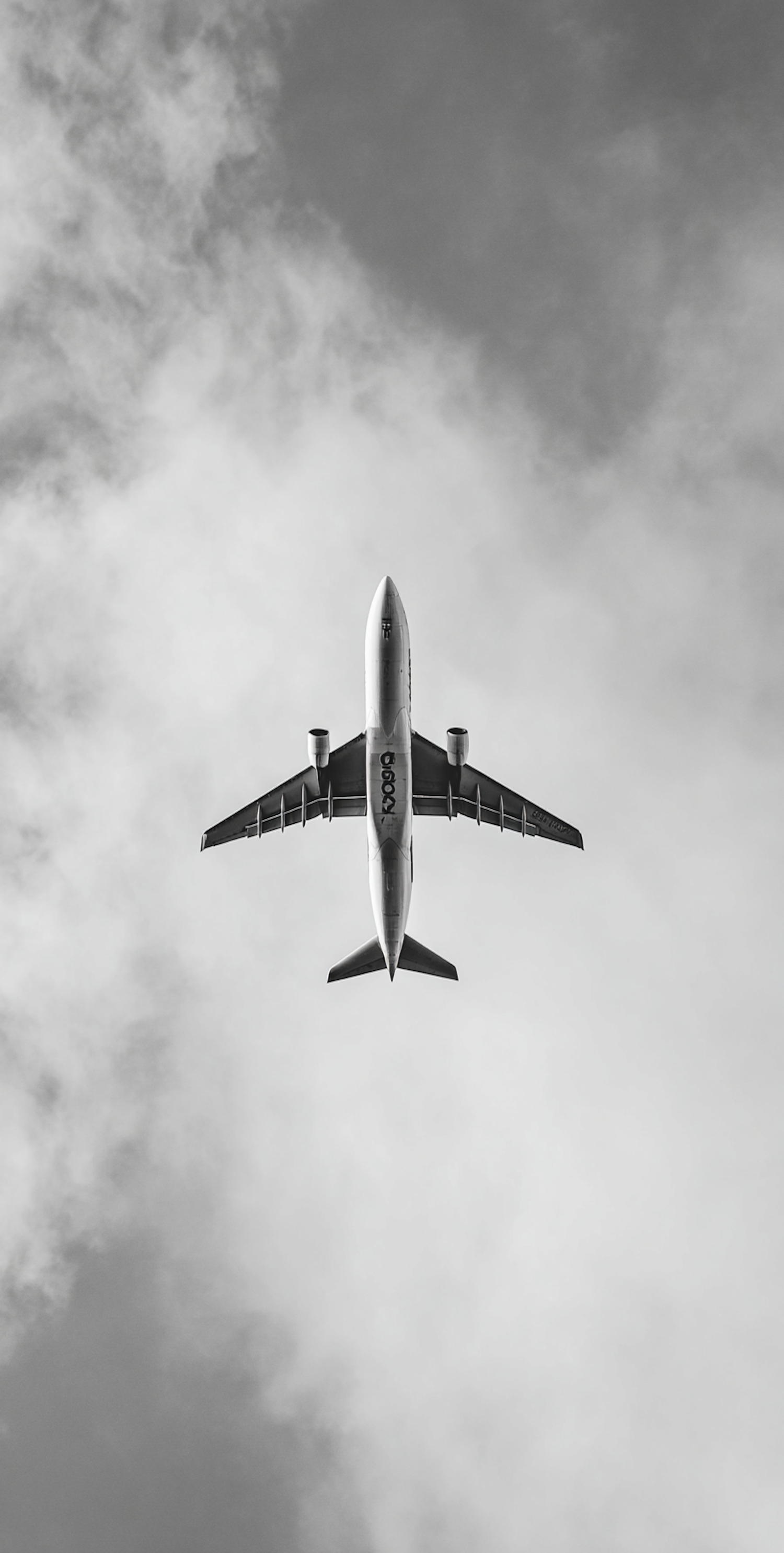Airplane In Flight View
