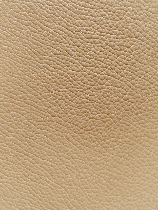 Textured Beige Leather