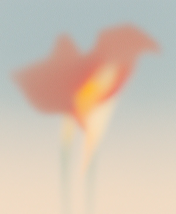 Abstract Flower Art