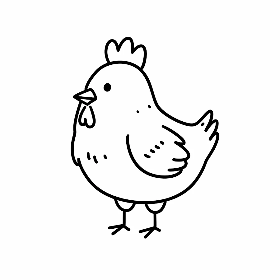 Cartoon Chicken Drawing