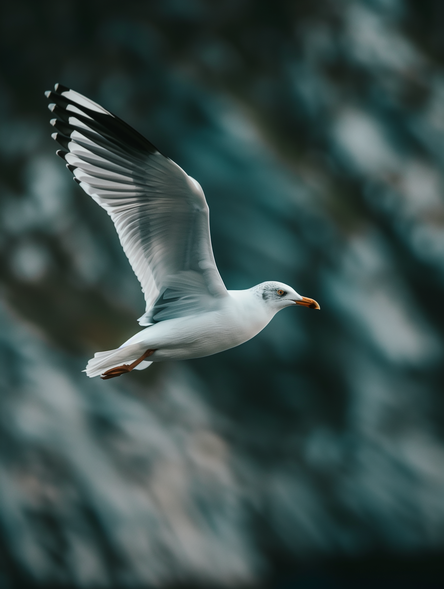 In-Flight Seagull