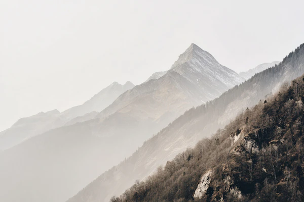 Serene Mountain Mist