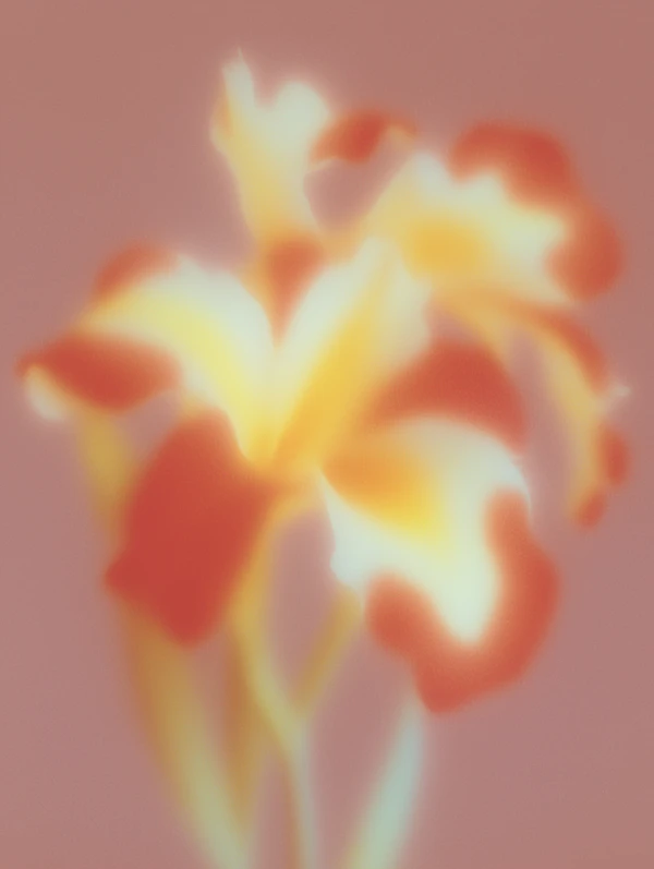 Radiant Flower Glow