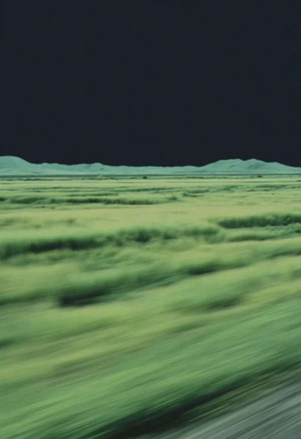 Dynamic Green Fields