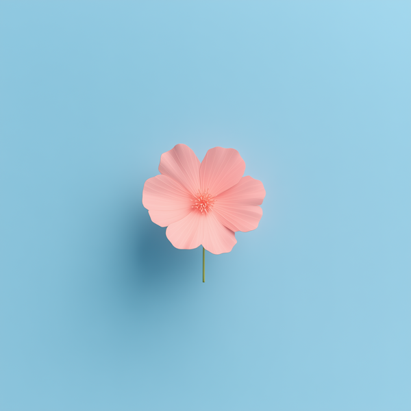 Serene Pink Flower on Blue