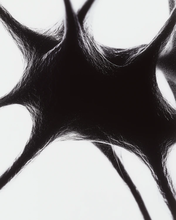 Abstract Web Structure