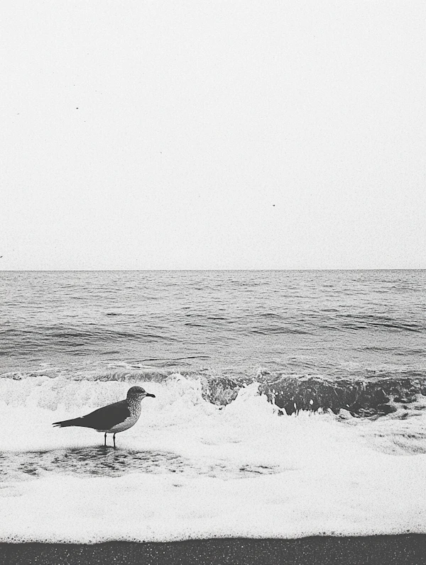 Seagull on Serene Beach