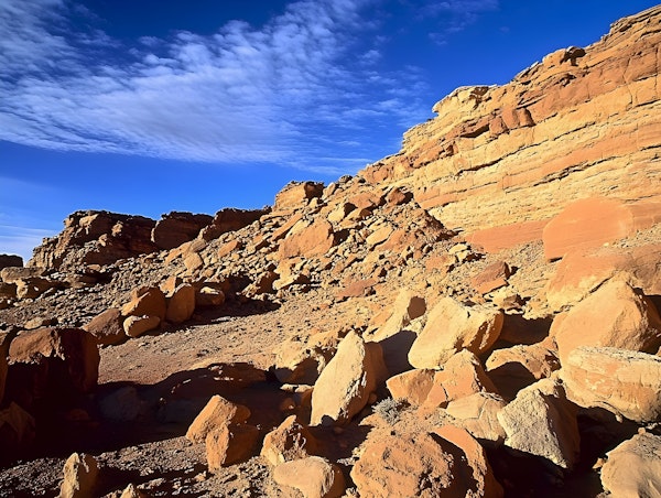 Rugged Desert Landscape