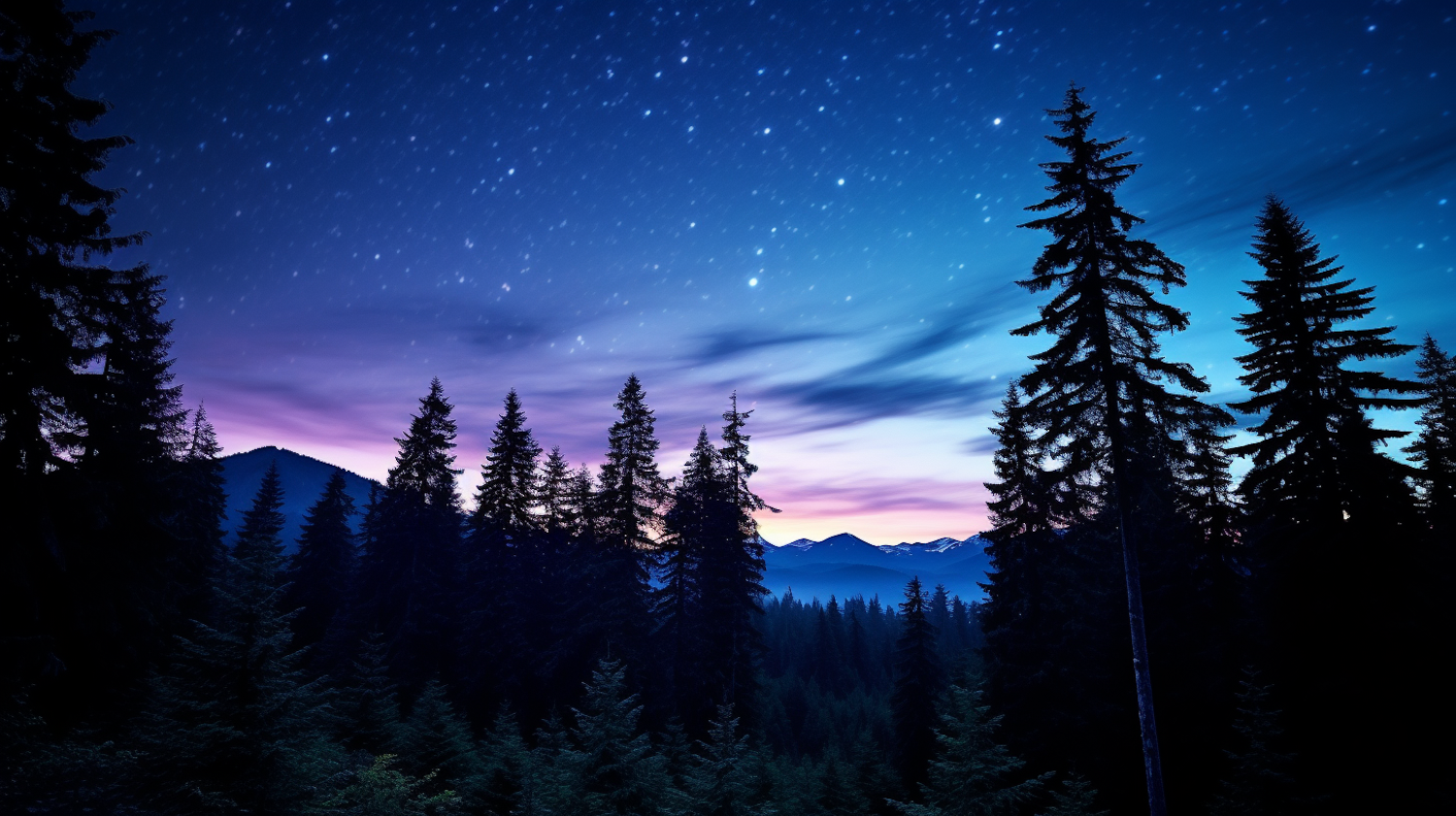 Starry Night Over the Wilderness