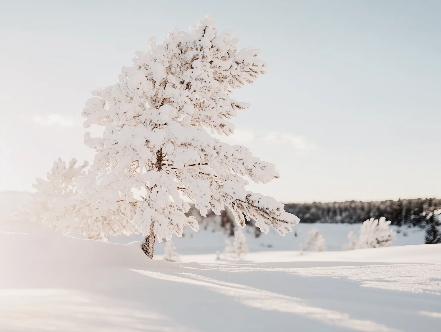 Serene Winter Landscape