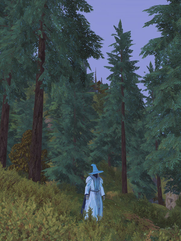 Mystical Forest Scene