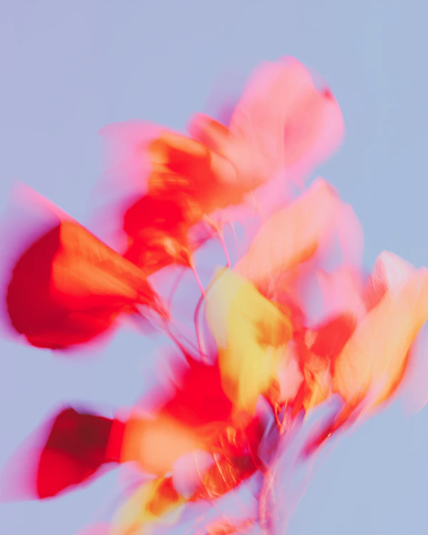 Abstract Leaves Motion