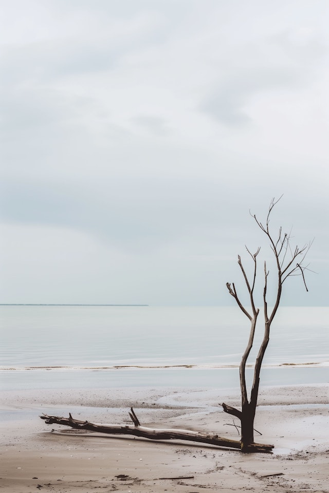 Serene Beach Solitude