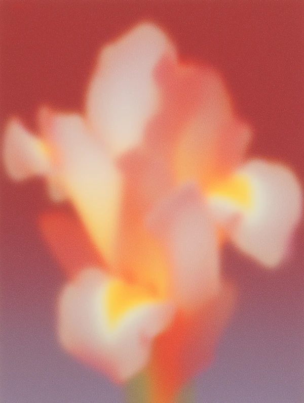 Abstract Flower Art