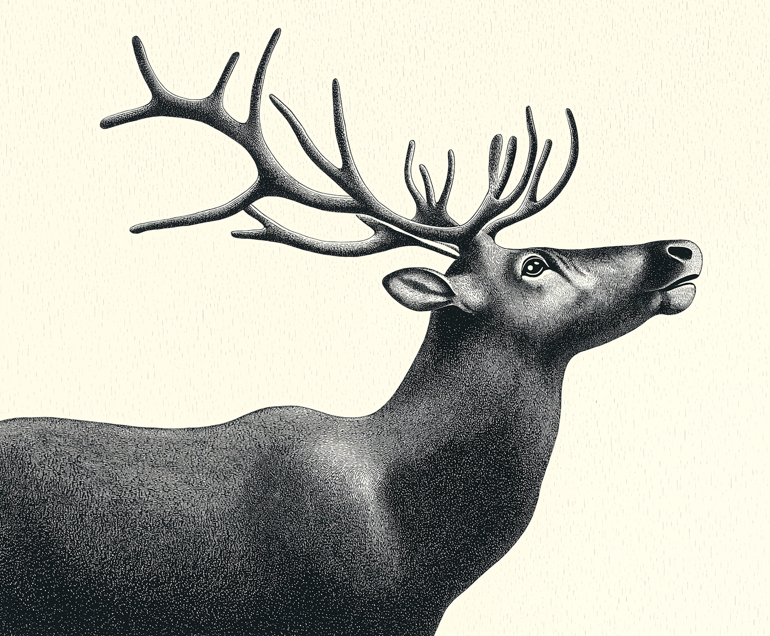 Majestic Deer Illustration