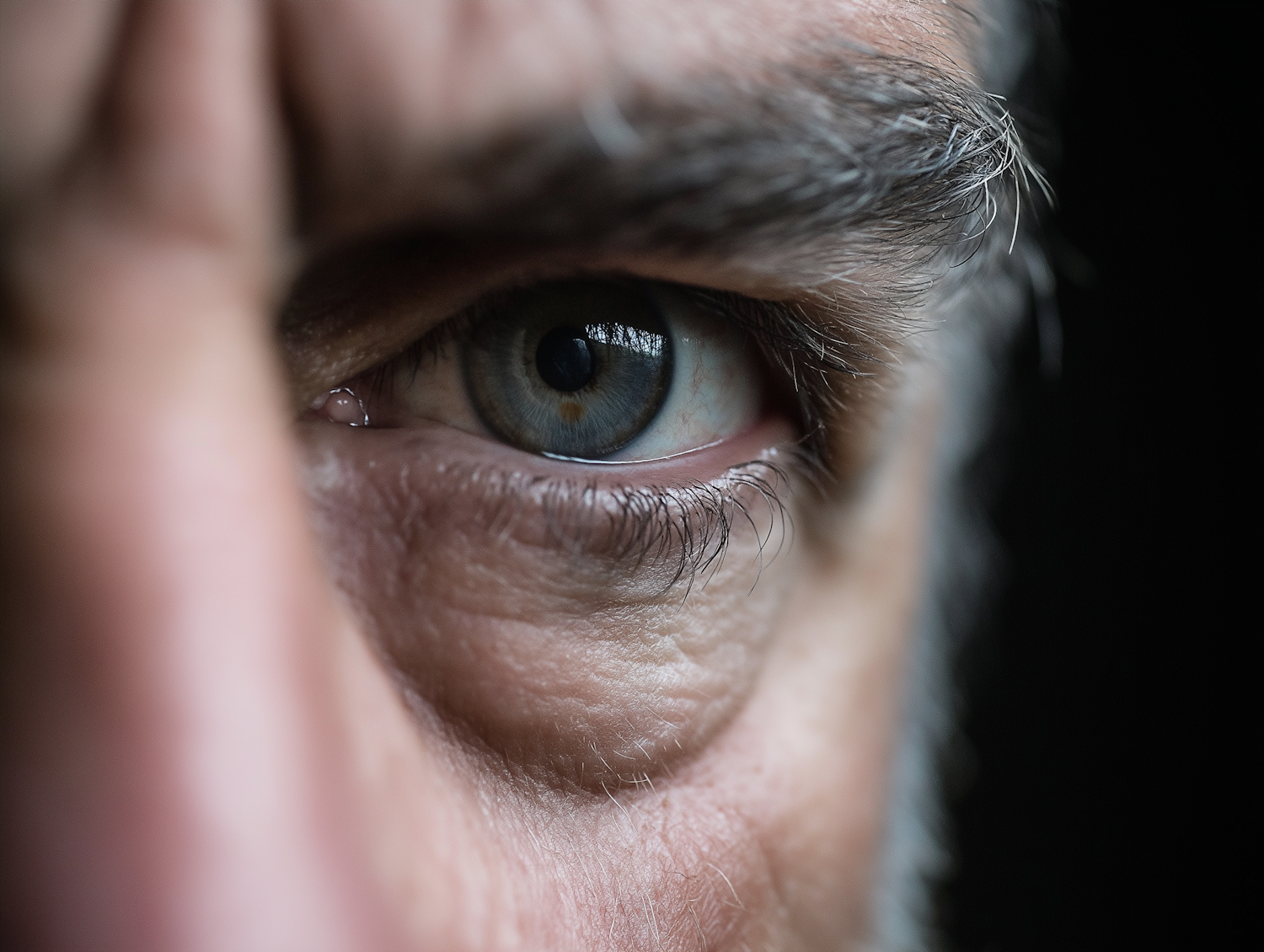 Close-up of a Human Eye