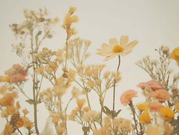 Wildflower Serenity