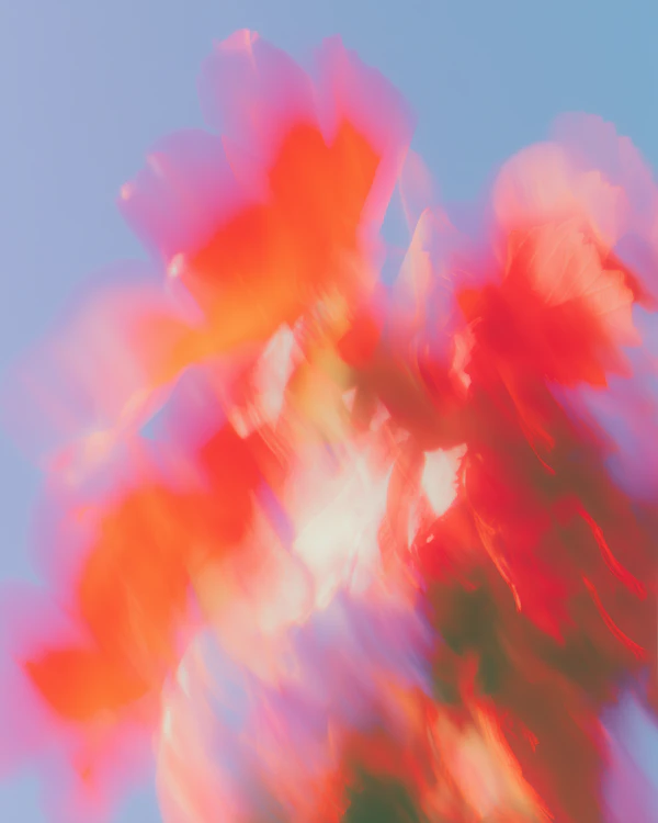 Abstract Floral Dream