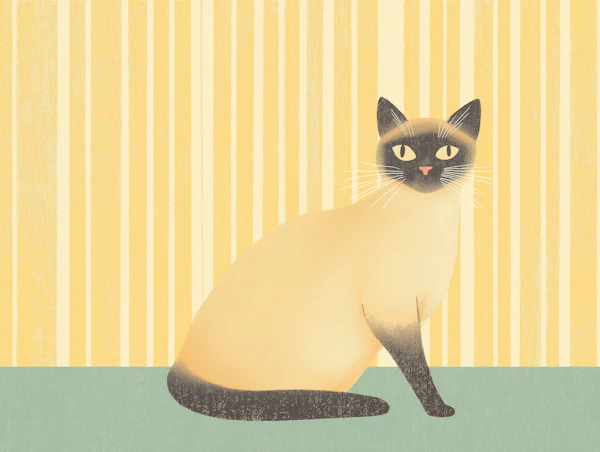 Stylized Siamese Cat