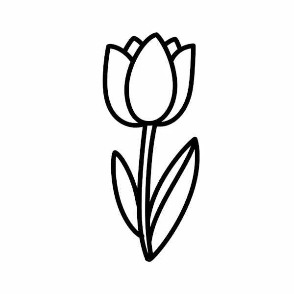 Minimalist Tulip Drawing