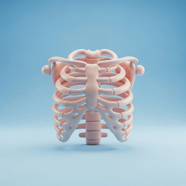 Pastel Ribcage Art