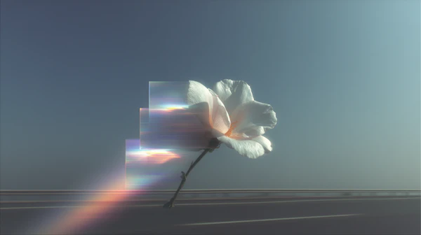 Surreal Flower Composition