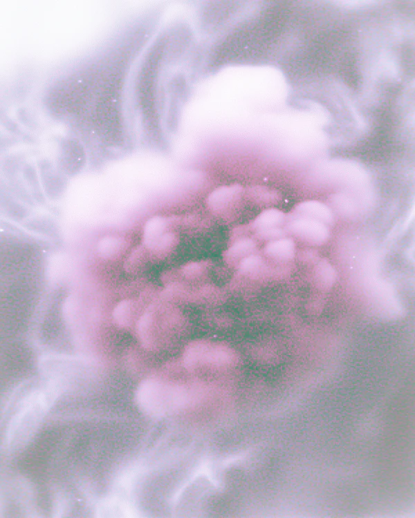 Ethereal Pink Cloud