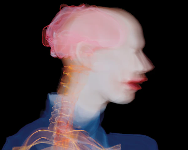 Abstract Human Profile