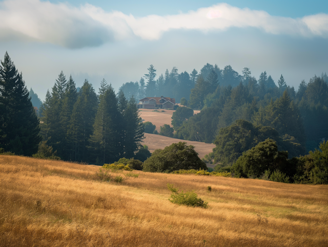 Tranquil Hilltop House in Rural Landscape